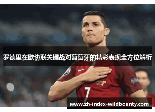 罗德里在欧协联关键战对葡萄牙的精彩表现全方位解析