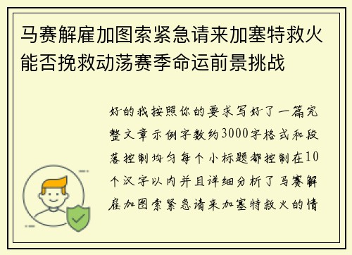 马赛解雇加图索紧急请来加塞特救火能否挽救动荡赛季命运前景挑战