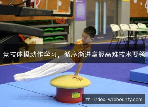 竞技体操动作学习，循序渐进掌握高难技术要领